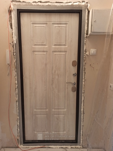 Фото входной двери №26