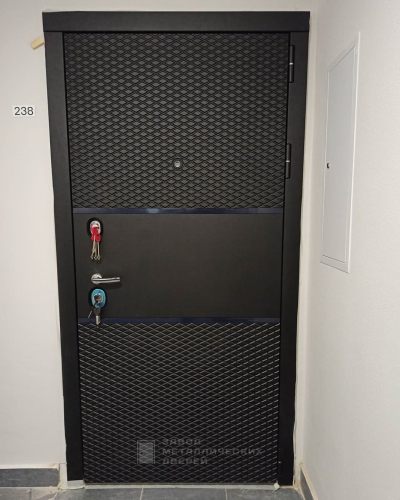 Фото входной двери №74