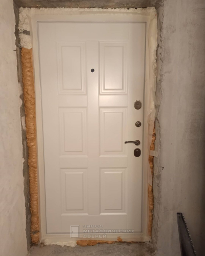Фото входной двери №51