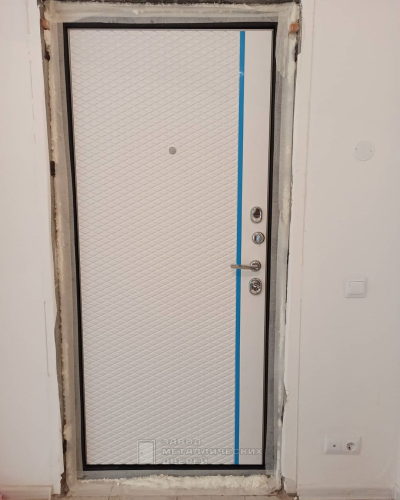 Фото входной двери №76